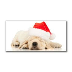 tulup.si Slika na platnu Puppy Cap Santa Claus Zima 100x50 cm