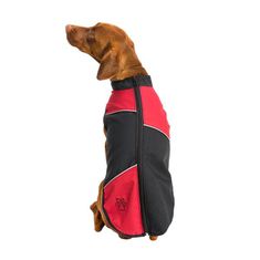 Obleka Vest Esmé Tramp black-red 55cm