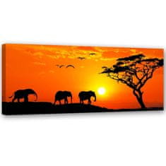 shumee Slika, Panorama savane v Afriki - 120x40
