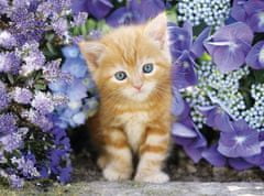 Clementoni Sestavljanka Ginger kitten in flowers 500 kosov