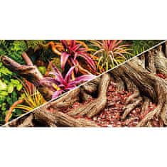 HOBBY aquaristic HOBBY Ozadje dvostransko Fig Jungle / Strangler 60 cm x 25m