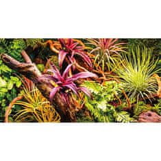 HOBBY aquaristic HOBBY Ozadje dvostransko Fig Jungle / Strangler 60 cm x 25m