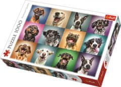 Trefl Puzzle Happy Dog Portraits / 1000 kosov