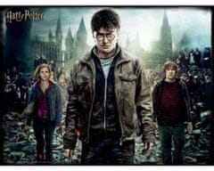 Harry Potter 3D sestavljanka - Harry, Hermiona in Ron 300 kosov