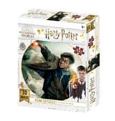 Harry Potter 3D sestavljanka - Harry Potter 300 kosov