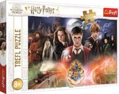 Trefl Puzzle Harry Potter - Skrivnostni Harry Potter/300 kosov