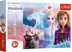 Trefl Puzzle Frozen 2 - Pogumni sestri / 30 kosov