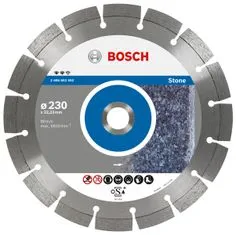 Bosch Diamantni disk 125X22 Seg Stone