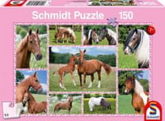 Schmidt Puzzle Veličastni konji 150 kosov