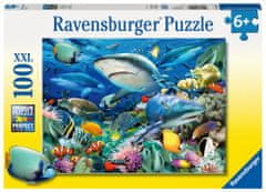 Ravensburger Morski greben 100 kosov