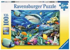 Ravensburger Morski greben 100 kosov