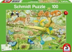 Schmidt Puzzle Živali v džungli 100 kosov