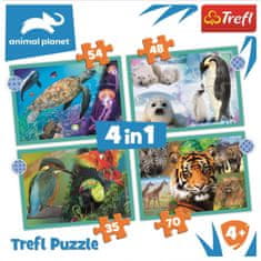 Trefl Puzzle Animal Planet: Skrivnostni svet živali 4v1 (35,48,54,70 kosov)