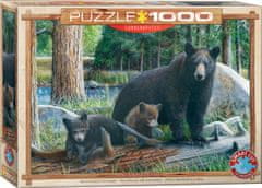 EuroGraphics Puzzle Nova odkritja 1000 kosov