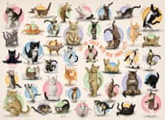 EuroGraphics Cat Yoga Puzzle XL 500 kosov