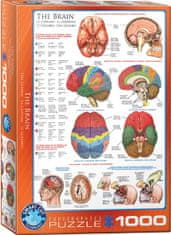 EuroGraphics Puzzle Brain 1000 kosov