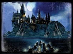Harry Potter 3D sestavljanka - Bradavičarke ponoči 500 kosov