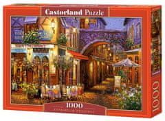 Castorland Puzzle Večer v Provansi 1000 kosov