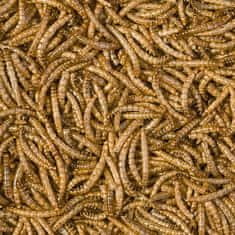 TROPICAL Meal worms 100ml/13g naravna hrana za plazilce