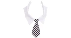 Merco Multipack 3pcs Gentledog kravata za pse črna in bela, S