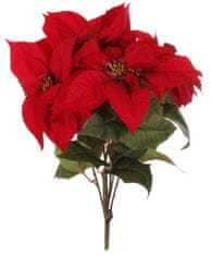 Shishi Žametna poinsettia rdeča 65 cm