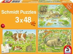 Schmidt Puzzle Živalska družina 3x48 kosov