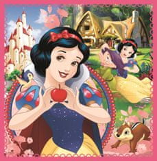 Trefl Puzzle Disneyjeve princese: čarobni svet 3v1 (20,36,50 kosov)