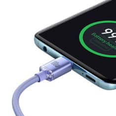 BASEUS Kabel za hitro polnjenje in prenos podatkov USB-C USB-C 100W 2 m vijolične barve