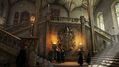 Warner Bros Hogwarts Legacy igra (PS5)