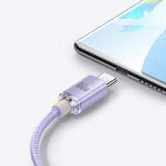 BASEUS Kabel USB-C za hitro polnjenje in prenos podatkov USB-C 100W 1,2 m vijolične barve