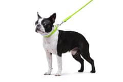 WAUDOG okrogla usnjena zelena ovratnica za dolgodlake pse, zelena 20-25 cm, širina ovratnika: 6 mm