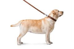 WAUDOG Ravna, klasična, kakovostna pasja ovratnica iz rjavega usnja, rjav dolžina: 22-30 cm, širina: 10 mm