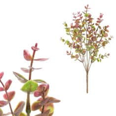 Autronic Buxus puget, bordo barve. SG6101 BOR