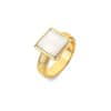 Jac Jossa Soul DR247 pozlačen prstan z diamanti in biseri (Obseg 51 mm)