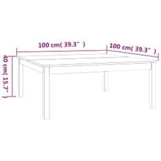 Vidaxl Klubska mizica siva 100x100x40 cm trdna borovina