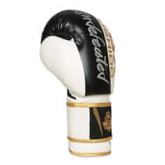 DBX BUSHIDO boxerské rukavice B-2v16 8 oz.