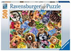 Ravensburger Pes selfie puzzle 500 kosov