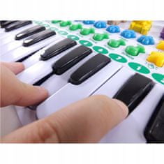 Luxma Orgle, klavir Farma Zwierz Record Farma 8843