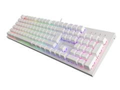 Genesis Gaming mehanska tipkovnica THOR 303/RGB/Outemu Brown/Wired USB/US layout/White