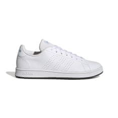 Adidas Čevlji bela 44 2/3 EU Advantage Base