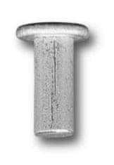 Aluminijasta trdna zakovica z glavo cilindra 8,0*20 mm