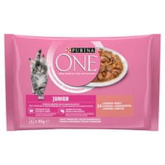 Purina ONE Multipack JUNIOR mini fileji z lososom in korenčkom v soku 4x85g