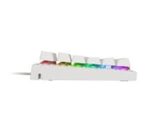 Genesis Gaming mehanska tipkovnicaTHOR 303/RGB/Outemu Brown/Wired USB/US layout/White