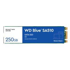 WD Blue SA510/250GB/SSD/M.2 SATA/5R