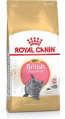 Royal Canin Royal Canin British Shorthair Kitten mačke suha hrana 2 kg Perutnina, riž, zelenjava