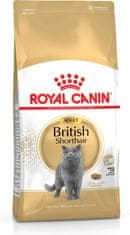 Royal Canin ROYAL CANIN British Shorthair - suha hrana za mačke - 2 kg