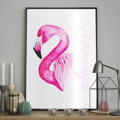 FLHF Plakat Flamingo bela DecoKing