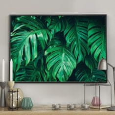 FLHF Monstera zeleni plakat DecoKing