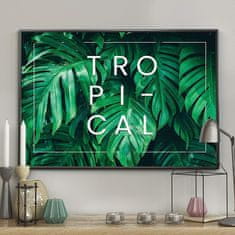 FLHF Monstera zeleni plakat DecoKing