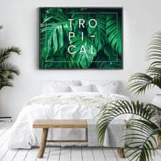 FLHF Monstera zeleni plakat DecoKing